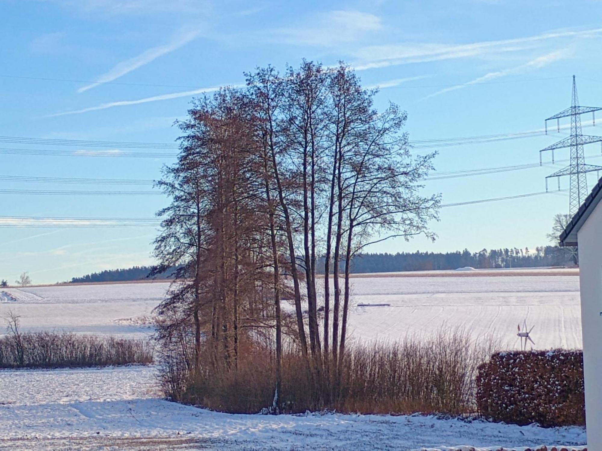 Monteurzimmer Beate Ackermann Hochstadt am Main Exteriör bild